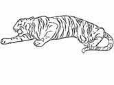 Children are fascinated by colors. Tigers Coloring Pages