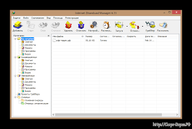 скачать бесплатно без регистрации программу Internet Download Manager на русском 2