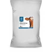 Aftercalving Energy Drink To The Cow After Calving Prevents Milk Fever And Provide Higher Milk Yield