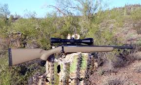 300blk In A Bolt Action