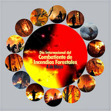 Como contrapartida, el 5 de mayo muchos celebran la venganza de los fifth en referencia a otra de las películas de la saga star wars: Proyecto Guardianes Del Templo Del Jaguar Por Un Planeta Mejor Hoy 4 De Mayo Dia Internacional De Los Combatientes De Incendios Forestales