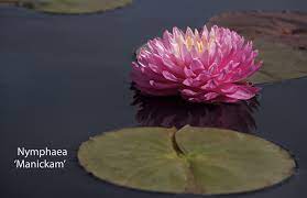 Pin On Garden Societies Organisations Uk