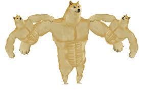 Here you can explore hq doge transparent illustrations, icons and clipart with filter setting like size, type, color etc. Extra Swole Doge Because I Made It And Have No Idea For A Meme With It Dogelore