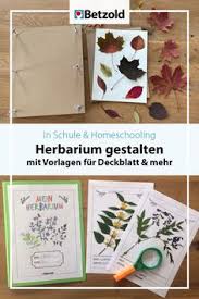 Tipps & vorlagen | betzold blog. 330 Sachunterricht Grundschule Gestalten Ideen In 2021 Sachunterricht Grundschule Grundschule Lehrmittel