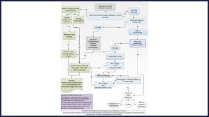 Image result for PECARN Pediatric Intra-Abdominal Injury Algorithm