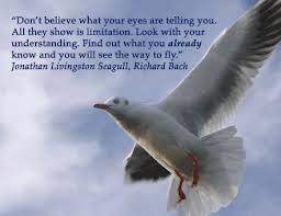 Maybe this is the ideal remedy for depression: Johnathan Livingston Seagull Love This Mind Bottling Little Book I Read In Richard Bach Quotes Jonathan Livingston Seagull Quotes Jonathan Livingston Seagull