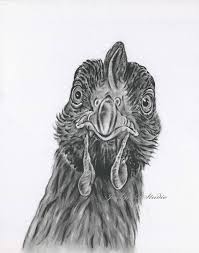 Chicken Art Original Charcoal Drawing 11 X14 Chicken Drawing Chicken Sketch Farm Art Farm Drawing R Charcoal Drawing Animals Charcoal Art Chicken Drawing