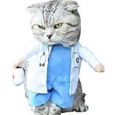 Nacoco Dog Cat Doctor Costume Pet Doctor Clothing Halloween Jeans Outfit Apparel S To View Further For This Item Pet Costumes Cat Dog Costume Cat Clothes