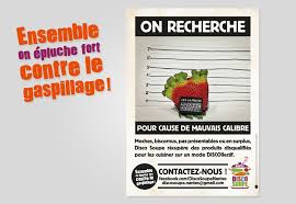 Affiche De Recrutement Appel Aux Dons De Fruits Et Legumes Disqualifies Disco Soupe Biscornus Disco