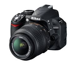 D3100 From Nikon