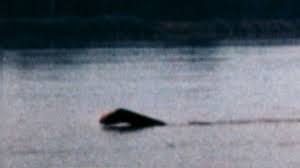Popular interest and belief in the creature has varied since it was brought to worldwide attention in 1933. Loch Ness Monster Photo 2012 George Edwards Claims Best Photo Yet Video Abc News