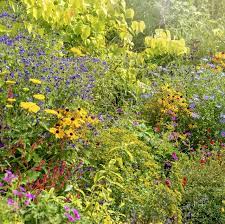 Find store hours, street address, driving direction, and phone number. 15 Easy Garden Plants To Grow Cheap Hardy Plant Ideas