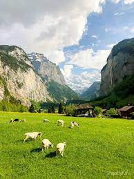 See more ideas about switzerland, natural landmarks, nature. The Natural Beauty Of Switzerland Travel Shabbyfufu Com