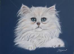 RÃ©sultat de recherche d'images pour "dessins chats blancs"