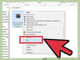 · read the entire description of the mod or cc you . How To Download Sims 3 Custom Content Newspan