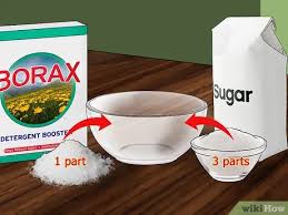 They love damp and dark places and will begin chewing drywall and wood. The Best Ways To Kill Ants Using Borax Wikihow