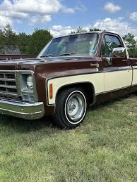Image result for Brown 1979 Chevy Truck