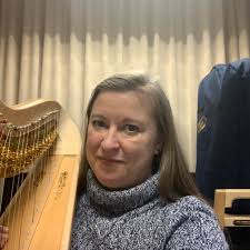 Sheer harp dust covers: who has one or is considering?