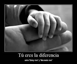 Yup Ab 3 Frases De Amor Fraternal Frases Bonitas Vida De Mama