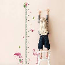 The perplexing photo surfaced on. Factory Outlet Store Decalmile Flamingo Height Chart Wall Stickers Kids Measure Growth Wall Decals Baby Nursery Room Girls Bedroom Wall Decor Home Kitchen Limited Edition Propangas Com Br