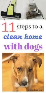 Keeping Your House Clean When You Have Dogs Katieskottage Dog Hair Cleaning Dog Cleaning Cleaning Hacks