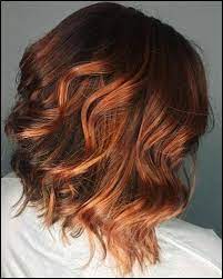 Ahead, find 50 ideas for highlights on dark brown hair for a mane makeover. 7 Heisseste Braune Haare Mit Roten Highlights Die Sie Jemals Sehen Werden Trend Bob Frisuren 2019 Red Highlights In Brown Hair Red Balayage Hair Copper Highlights On Brown Hair