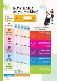 fat burning range chart