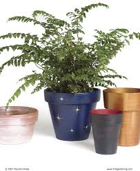 These hand painted 8 standard planters will look great in any home, garden or patio. How To Paint Clay Pots