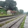 The green corridor (officially called the rail corridor) is a 24km walk along a former railway line across singapore from tanjong pagar to woodlands. Https Encrypted Tbn0 Gstatic Com Images Q Tbn And9gctxabzntgcrdx38pt C9frsisg57krlgar 0skdfywyeyyew3ea Usqp Cau