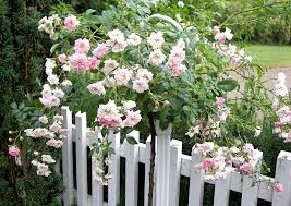 Weitere ideen zu garten, garten ideen, gartengestaltung. Bauerngarten Anlegen Und Gestalten Ideen Und Tipps Ohne Buchsbaum
