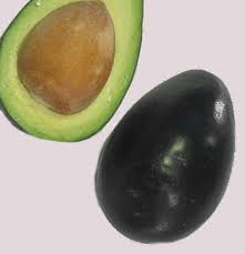 Compared to other types of fruit trees like citrus, avocado trees are particularly susceptible to. Best Avocados For Central Fl Ask The Green Genie