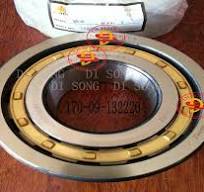 Spare Parts, Bearing 170-09-13220