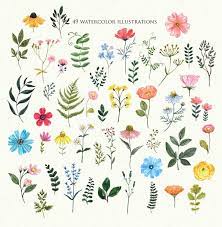 Wildflowers Clipart Watercolor Wild Flower Floral Illustration Etsy In 2021 Floral Illustrations Wildflower Drawing Flower Border