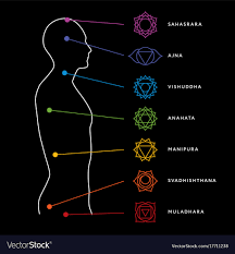 Chakra System Of Human Body