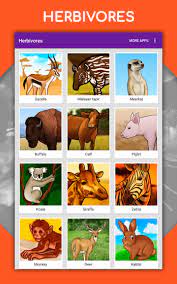 Hoe Dieren Te Tekenen Stap Voor Stap Lessen For Android Apk Download