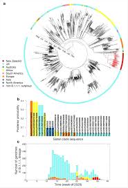 Decisions about testing are made by state and local health departments or healthcare providers. New Zealand Case Study Shows Room For Improvement In Genomic Sequencing Of Covid 19 Outbreaks