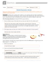 › half life gizmo worksheet answers. Senses Gizmo Answers Biology By 115 Graded A