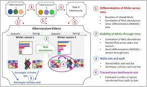 Giphy is your top source for the best & newest gifs & animated stickers online. Population Genetics As A Tool To Elucidate Pathogen Reservoirs Lessons From Pseudogymnoascus Destructans The Causative Agent Of White Nose Disease In Bats Biorxiv