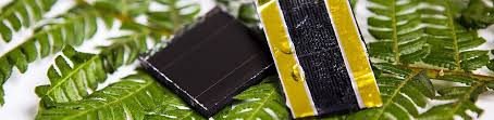 Fern is the largest project developed and built to date by baywa r.e. American Fern Inspires Groundbreaking New Solar Storage Solution