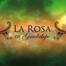La Rosa De Guadalupe Dailymotion Rosa De Guadalupe Cartas De Loteria Guadalupe