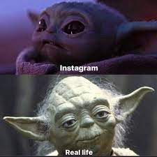 7 096 Likes 60 Comments Cameron Mattson Teamstarwars On Instagram I Can Relate Teamstarwars Bosslogic Disney Yoda Meme Funny Memes Star Wars Jokes