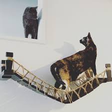 Catastrophic Creations Cat Bridge Modern Cat Furniture Cat Etsy In 2020 Modern Cat Furniture Modern Cat Cat Hammock