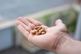 Can a Vitamin Deficiency Cause ...