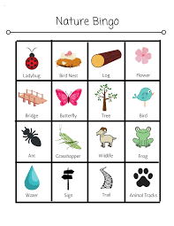 Summer Free Printable Bingo Cards For Kids 10 Must Do Summer Activities For Kids Of All Ages Summer Activities For Kids Summer Activities Activities For Kids