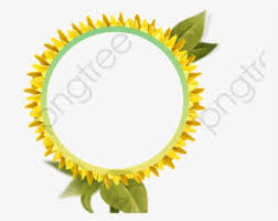 Daun bunga matahari, larva s. Transparent Sunflower Clipart Png Border Bunga Matahari Png Download Transparent Png Image Pngitem