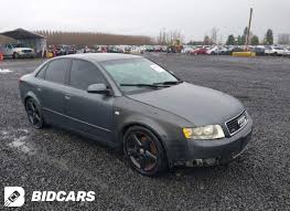 Image result for Dolphin Gray 2004 A4