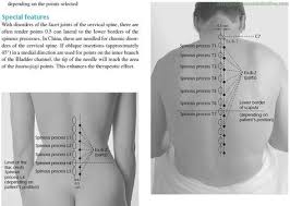 Ex B 2 Hua Tuo S Paravertebral Points Huatuojiaji Acupuncture Points 2 Acupuncture Points Acupuncture Accupuncture