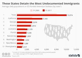 chart these states detain the most undocumented immigrants