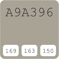 Import palette to procreate by opening your icloud/storage and procreate app at the same time using the split screen feature. A9a396 Hex Color Code Rgb And Paints