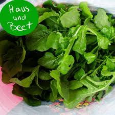 Rucola Der Salat Der Fast Das Ganze Jahr Lang Wachst Haus Und Beet In 2020 Lippenbalsam Selber Machen Snacks Zum Mitnehmen Rucola